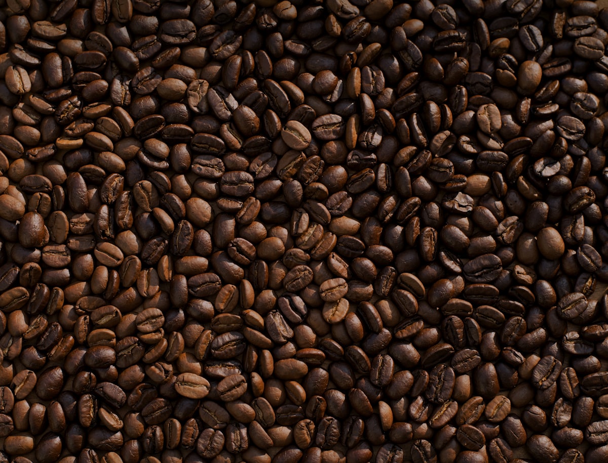 Medium Roast Ground Coffee 227g